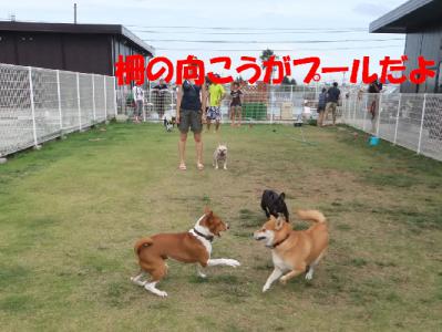 1b20120813 019