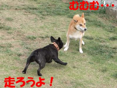1b20120813 028