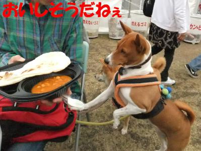 1b20121014 023