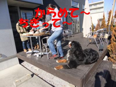 1b2013_0103 039
