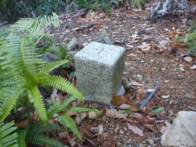2013-12-21-025.jpg