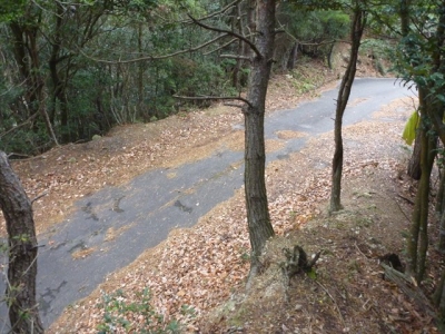 2013-12-21-055.jpg