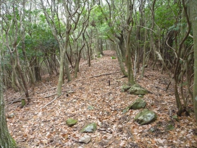 2013-12-21-058.jpg