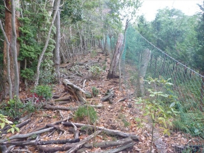 2013-12-21-069.jpg