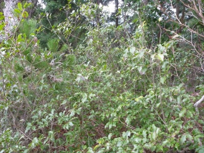 2013-12-21-088.jpg