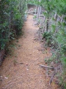 2013-12-21-093.jpg