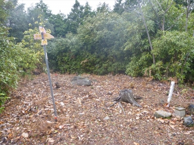 2013-12-21-113.jpg