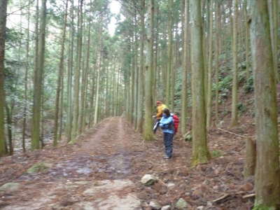 2013-12-21-132.jpg