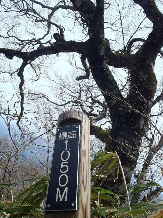 三瓶山 022-001