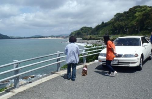 佐賀県 呼子 006-001