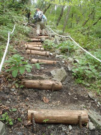 十種ケ峰のヤマシャクナゲ 044