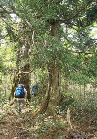 5月例会(掛頭~臥龍山) 053-001