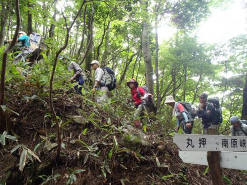 安佐北区 備前坊山 006-001