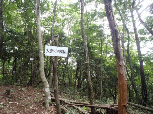 安佐北区 備前坊山 017