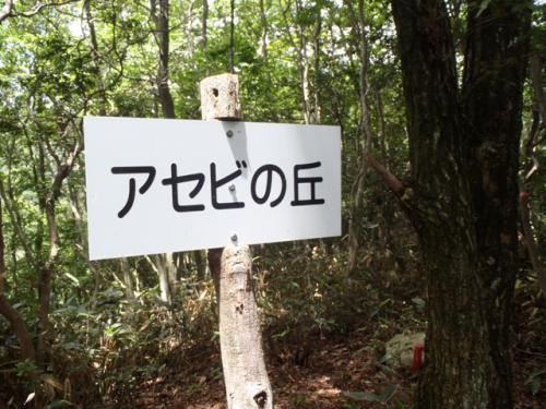安佐北区 備前坊山 021