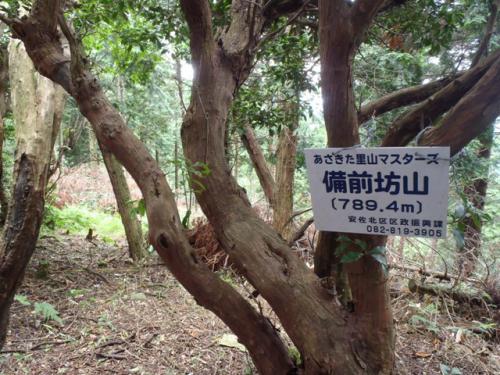 安佐北区 備前坊山 025