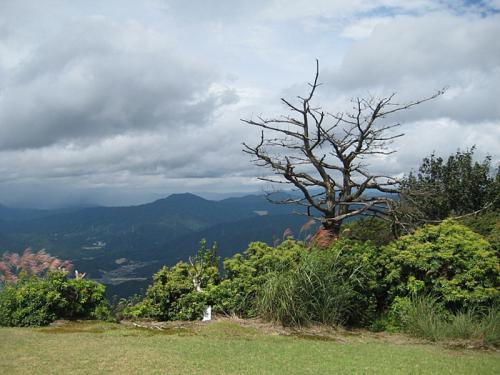 白木山 M 009-001