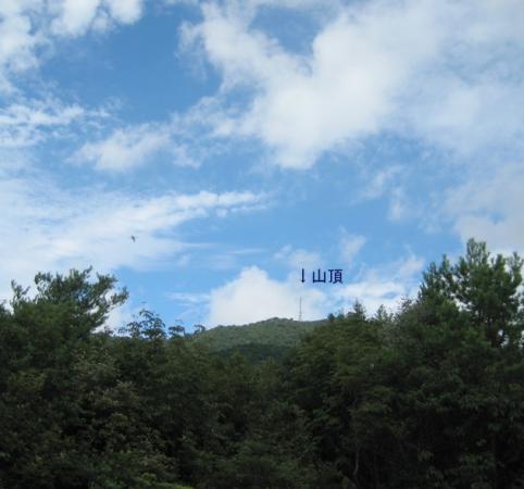 白木山 M 006-001
