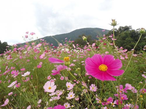 道後山 078-001
