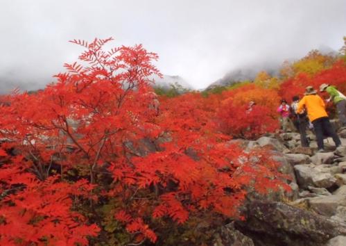 涸沢~上高地~奥穂高 128-001