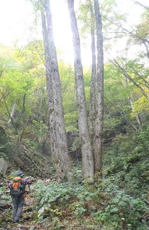 福田頭~吾妻山・烏帽子 021-001
