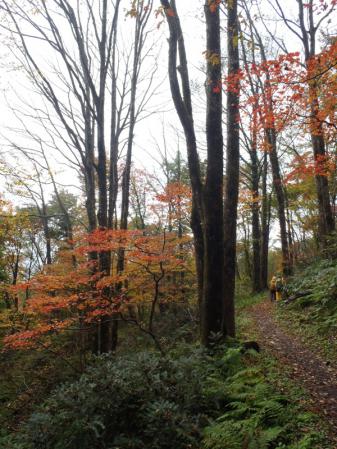 福田頭~吾妻山・烏帽子 056