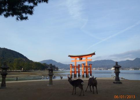 新年互礼登山弥山 007-001