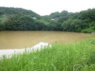 20120707_004.jpg