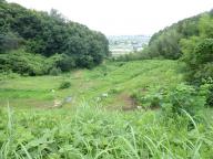 20120707_005.jpg