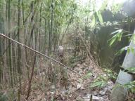20120707_009.jpg