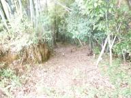 20120707_014.jpg