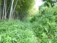 20120707_015.jpg