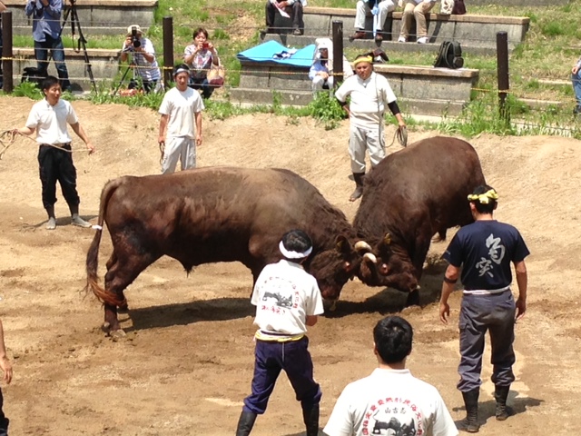 yama2.jpg