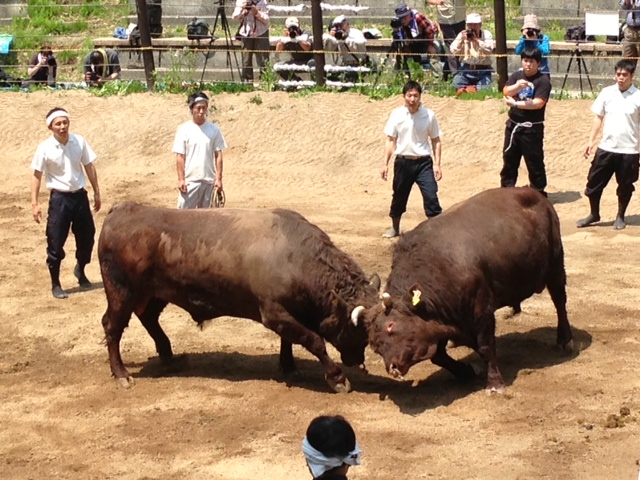 yama5.jpg