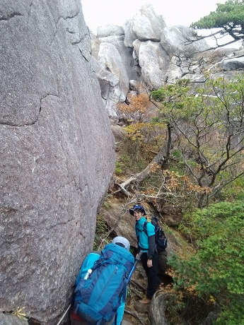 IMG00708.jpg
