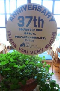 37周年