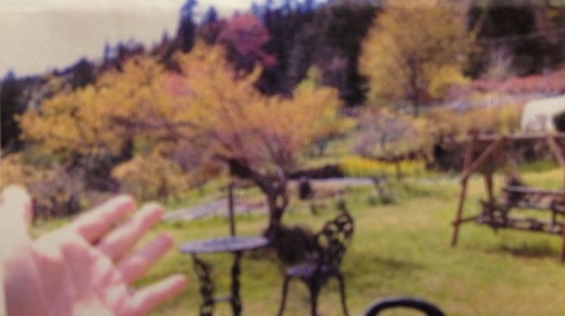 005_20130324005417.jpg