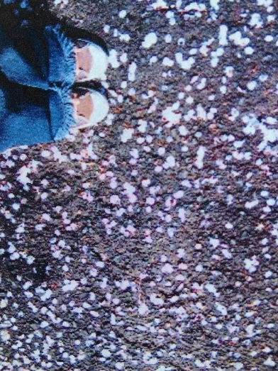 001 (4)