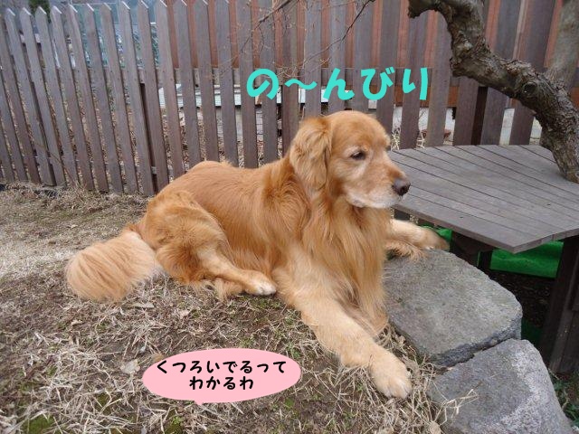004_20130325212151.jpg