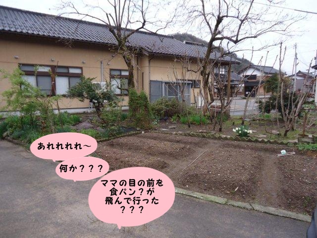 001 (12)