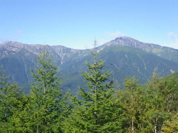 火事跡からの北岳