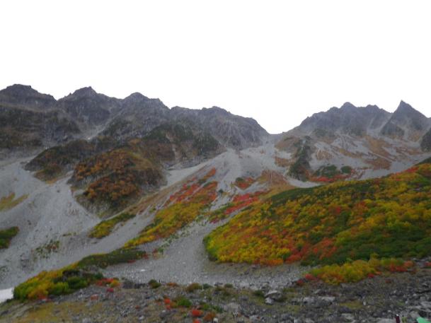 涸沢紅葉