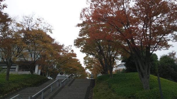 大妻大学_convert_20121111214821