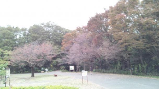 小山内裏公園_convert_20121111215620