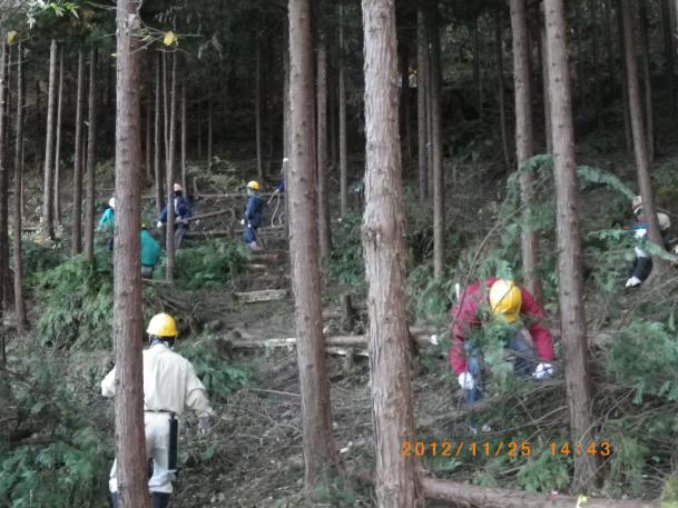 間伐