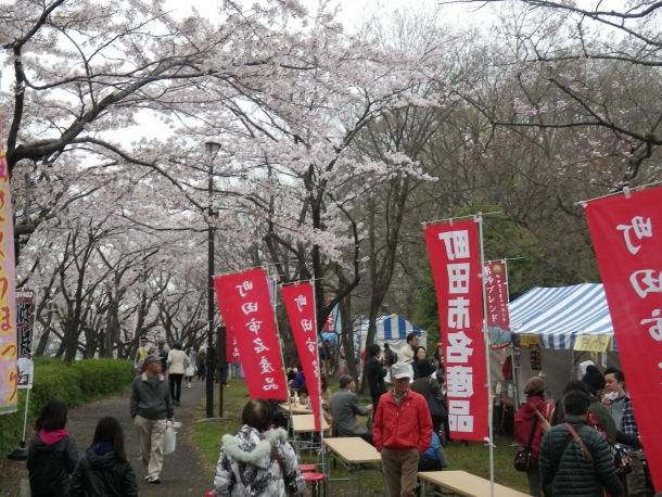 IMGP0764.jpg