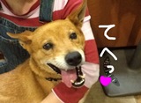 むぎ