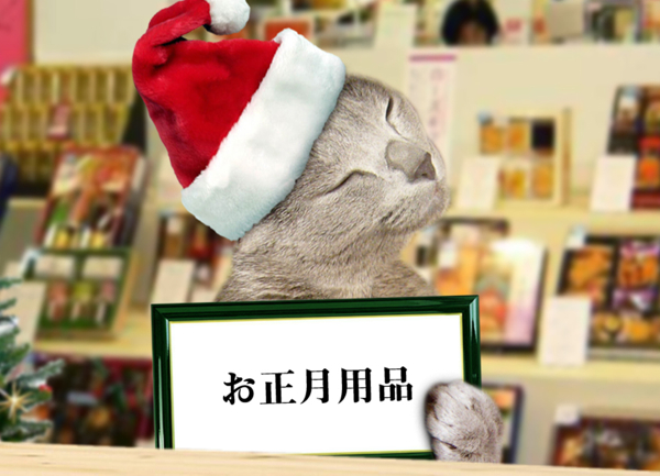 歳暮猫3
