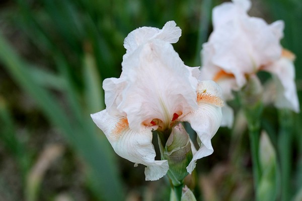 20120516009.jpg
