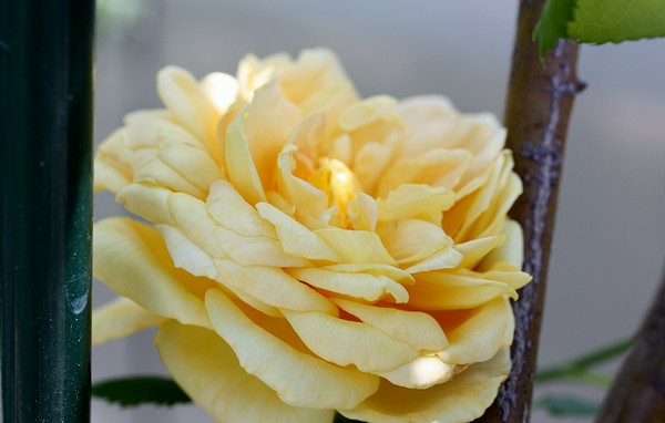 20120527005.jpg